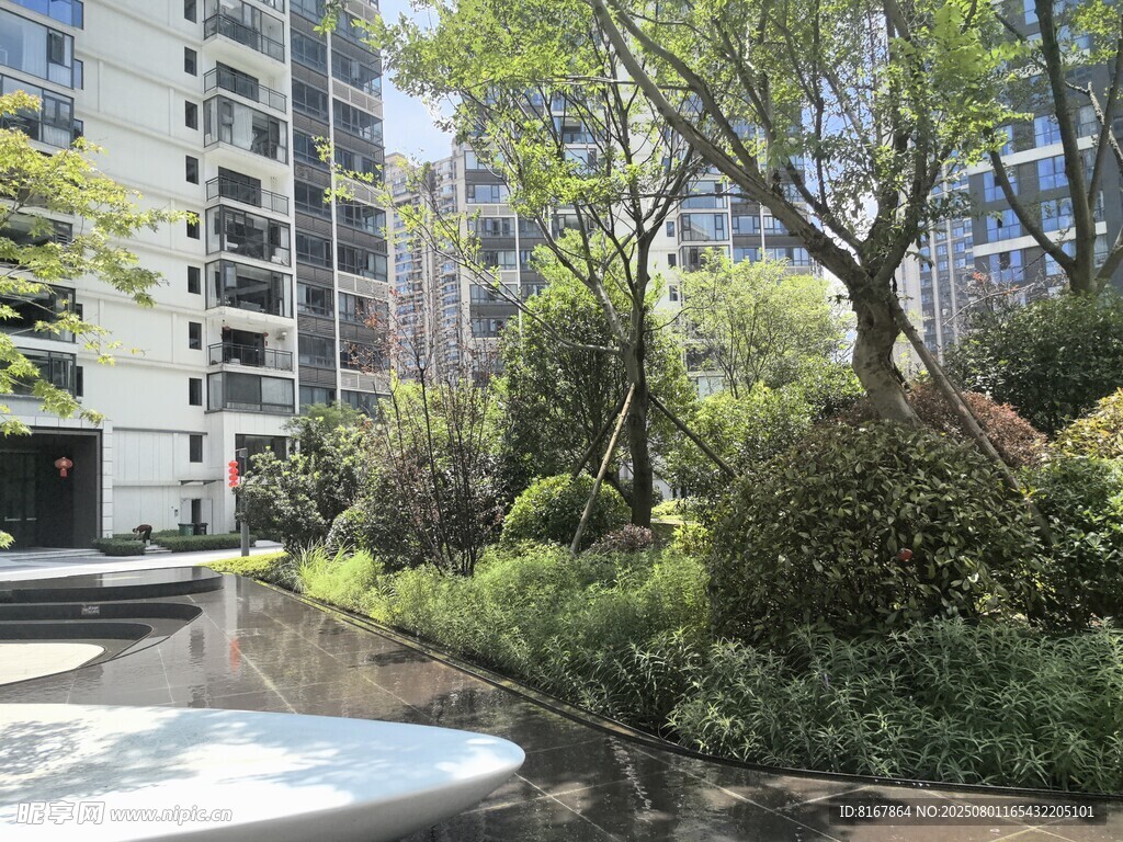 都市中的静谧绿植景观