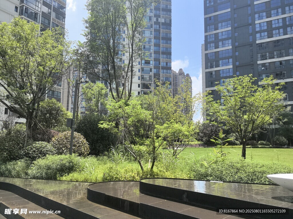 城市中的静谧绿植景观