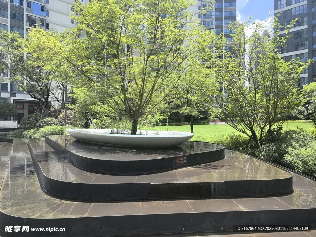 城市中的静谧绿植景观
