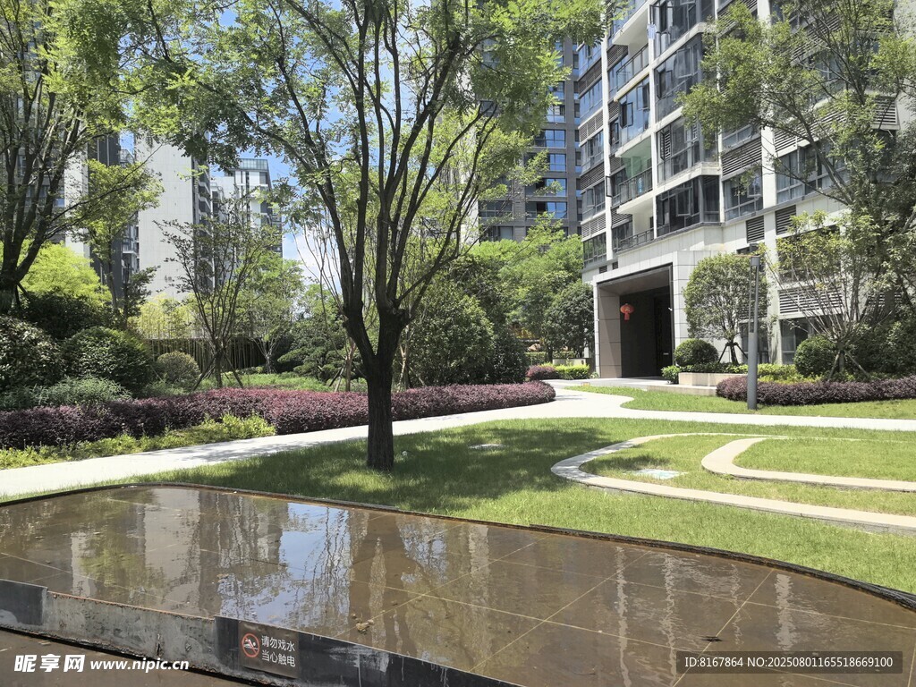 城市中的静谧绿化景观