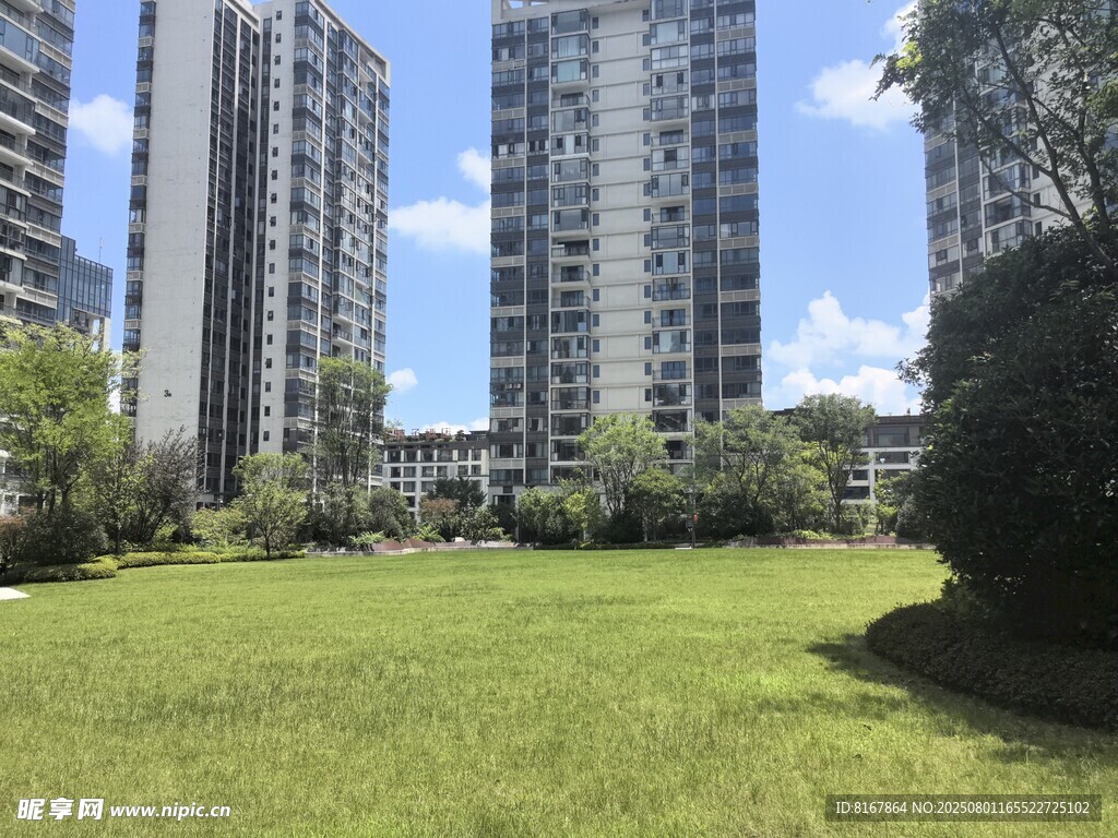 城市中的绿地与高楼景观