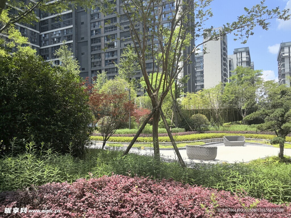 城市中的静谧绿植景观