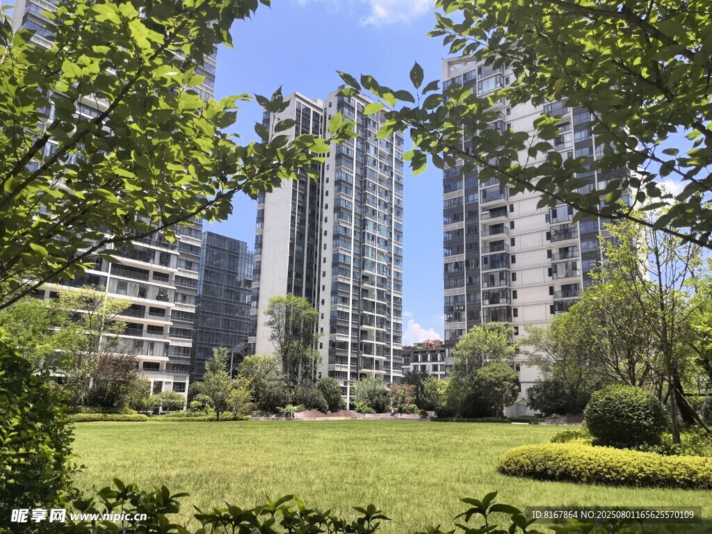城市中的绿地与高楼景观