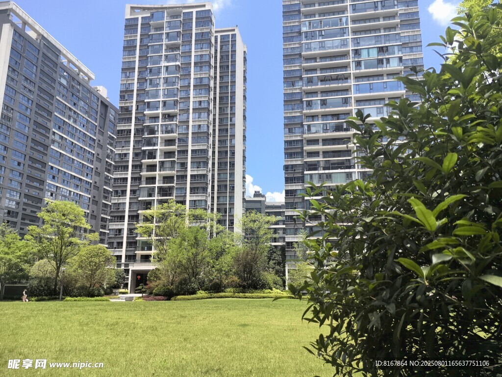 城市中的绿地与高楼景观