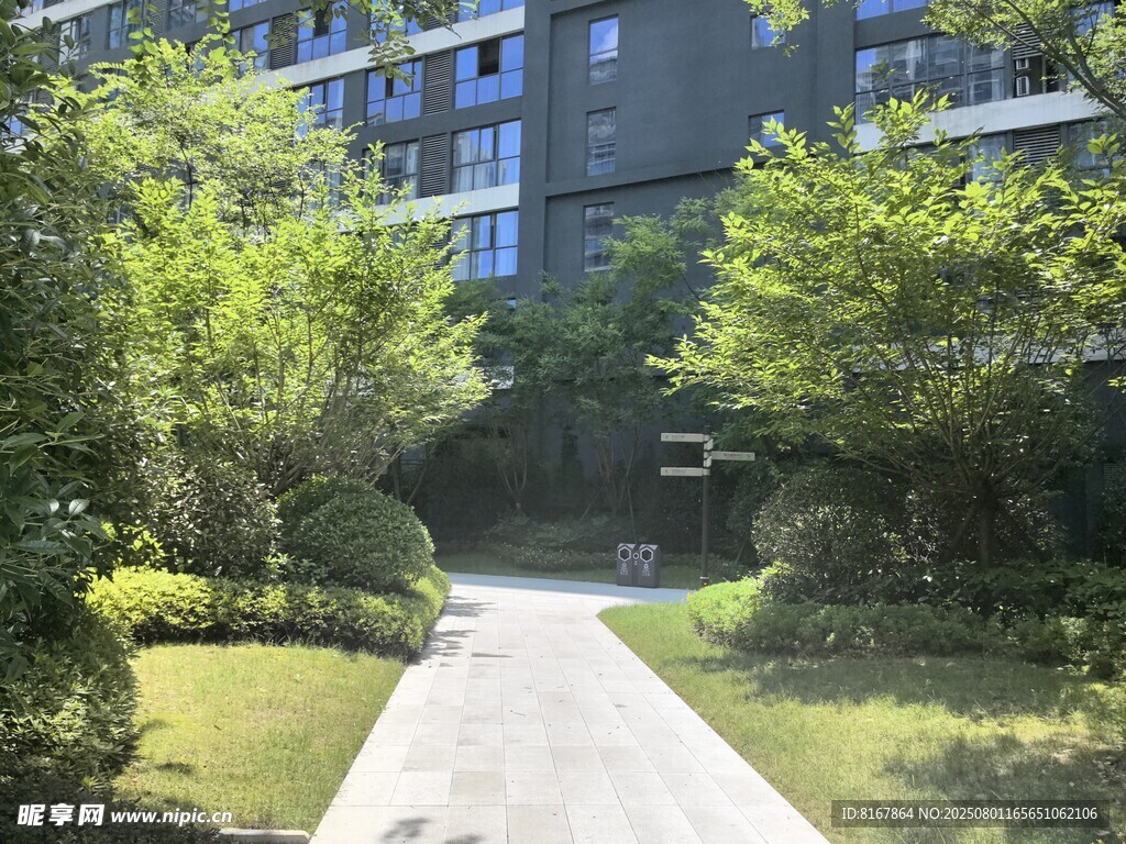 小区内的林荫小道景观