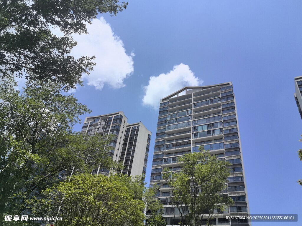 城市高楼与绿树蓝天
