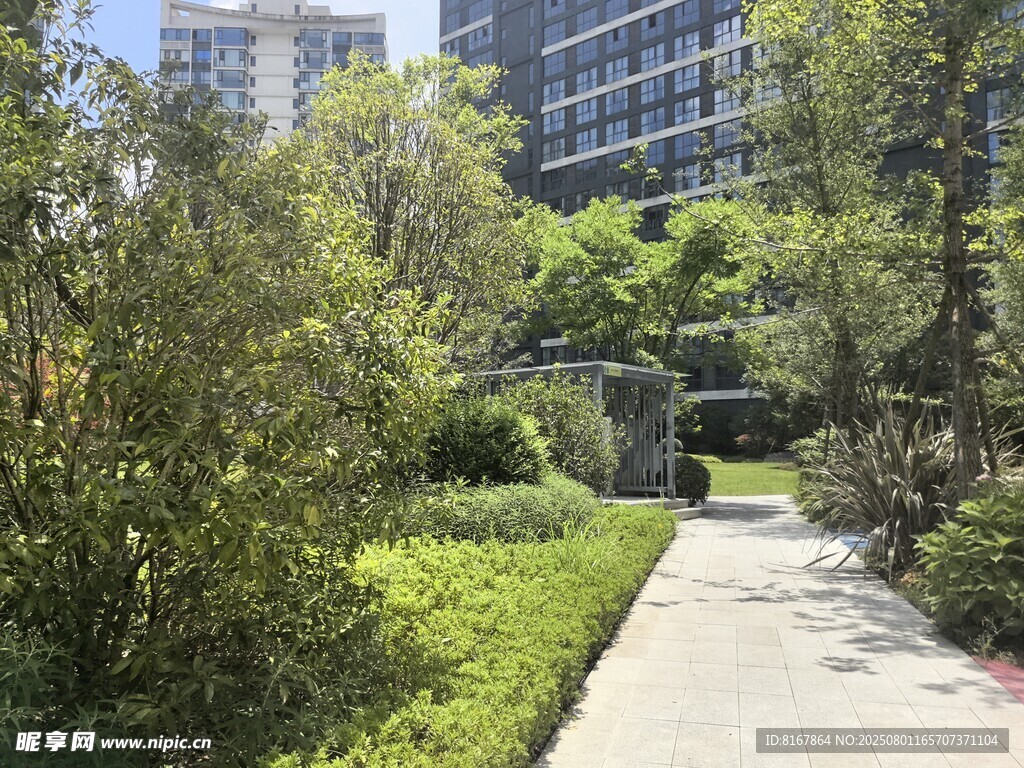 城市中的静谧绿植小径