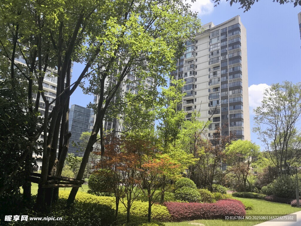 城市中的绿意盎然景观