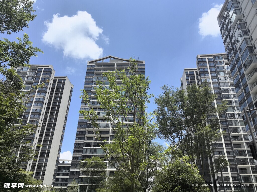 高楼间绿意盎然的城市景观