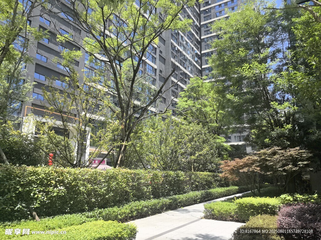都市林荫小道景观