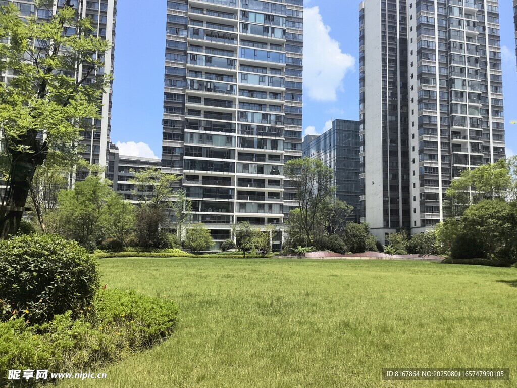 城市中的绿地与高楼景观