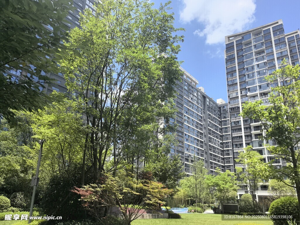 城市中的绿意与高楼景观