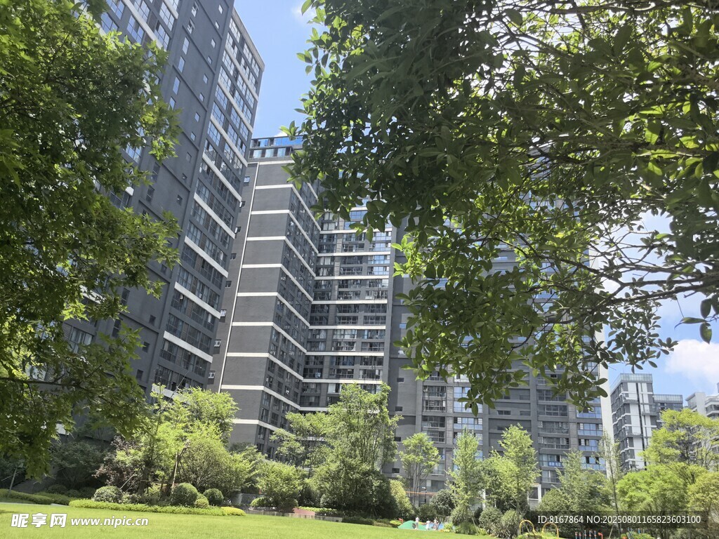 城市绿荫下的高楼景观