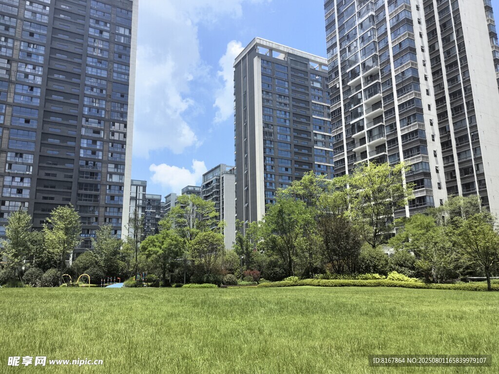 城市草地旁的高楼景观