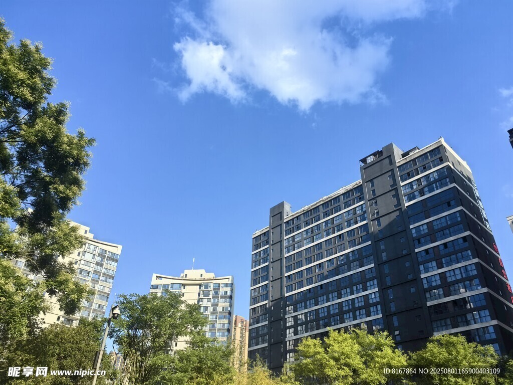 城市高楼与绿树蓝天