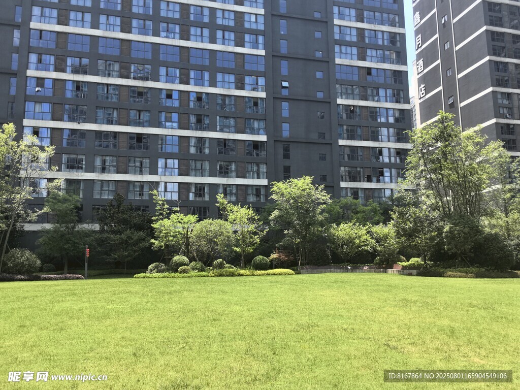 都市草坪旁的现代高楼