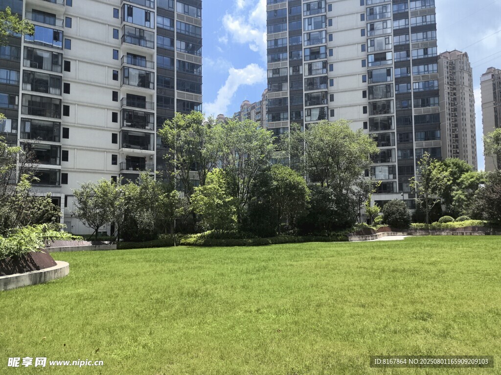 城市中的绿地与高楼景观