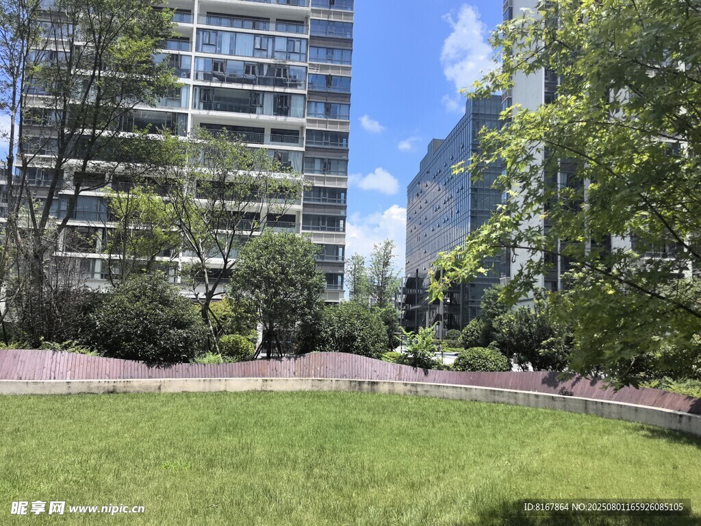 城市中的绿意草坪与高楼