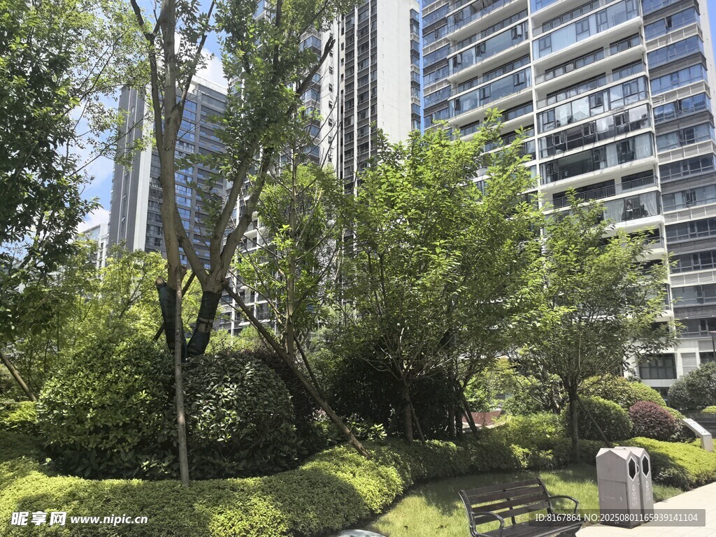 城市中的绿植与高楼景观