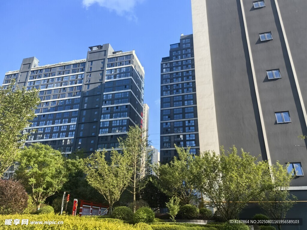 城市高楼旁的绿植景观