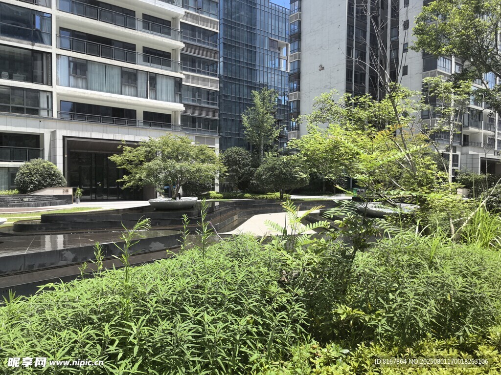 都市中的绿植景观角落