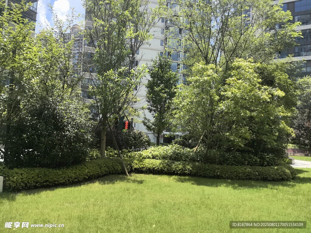 城市中的绿意盎然草坪景观