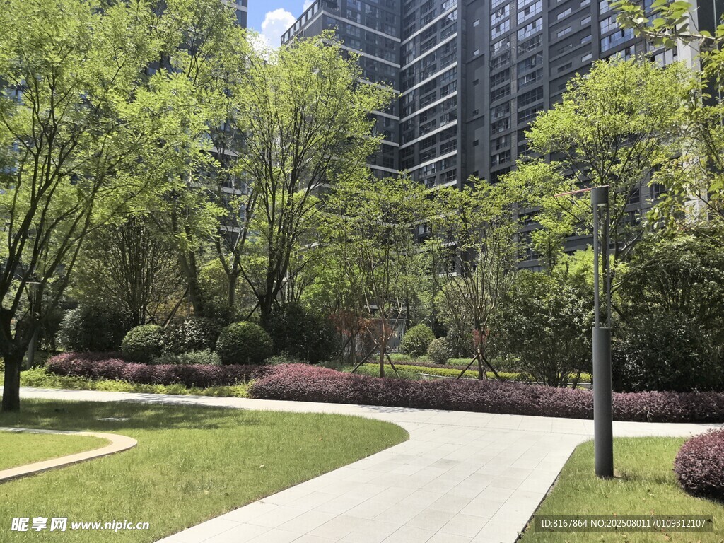 城市中的静谧绿化小径