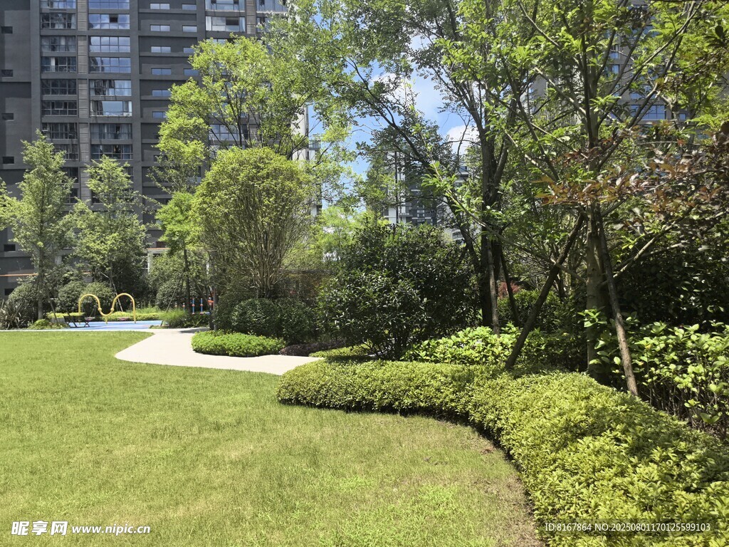城市中的绿意盎然景观