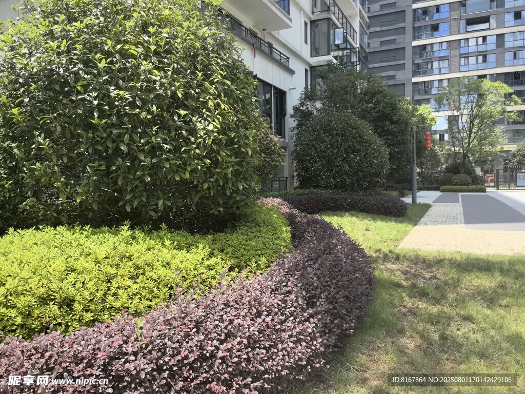 小区绿植景观一角