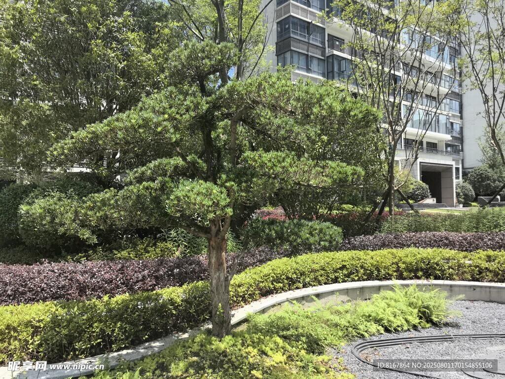 精致园林景观中的蜿蜒小径