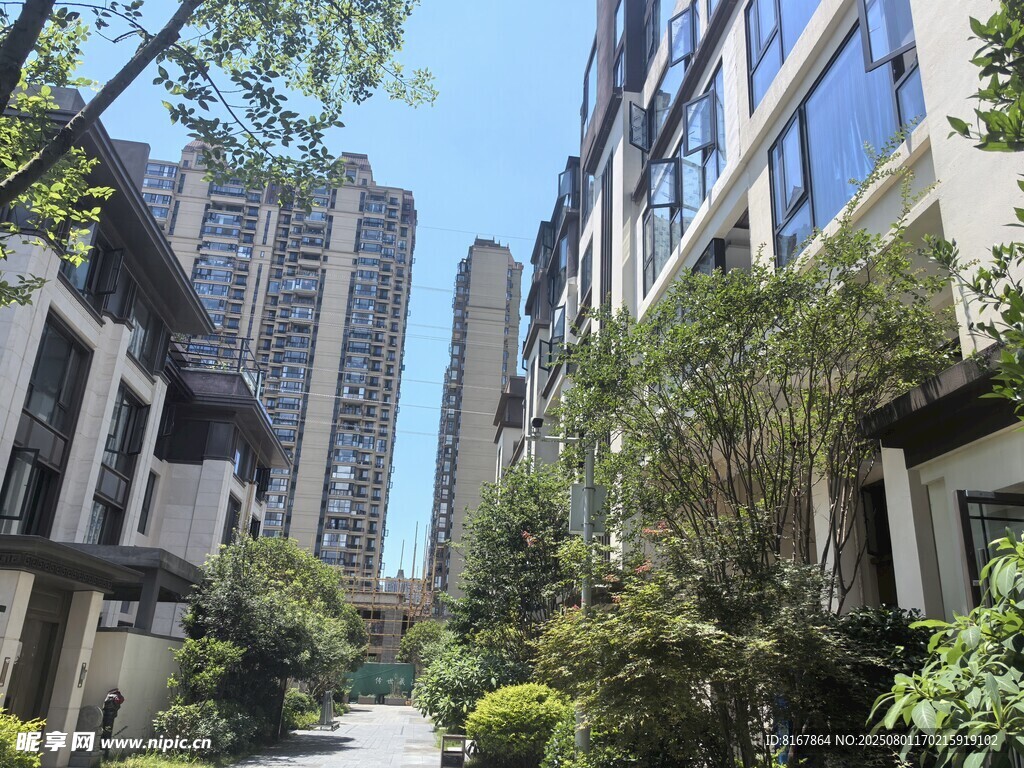 小区静谧林荫小道景观