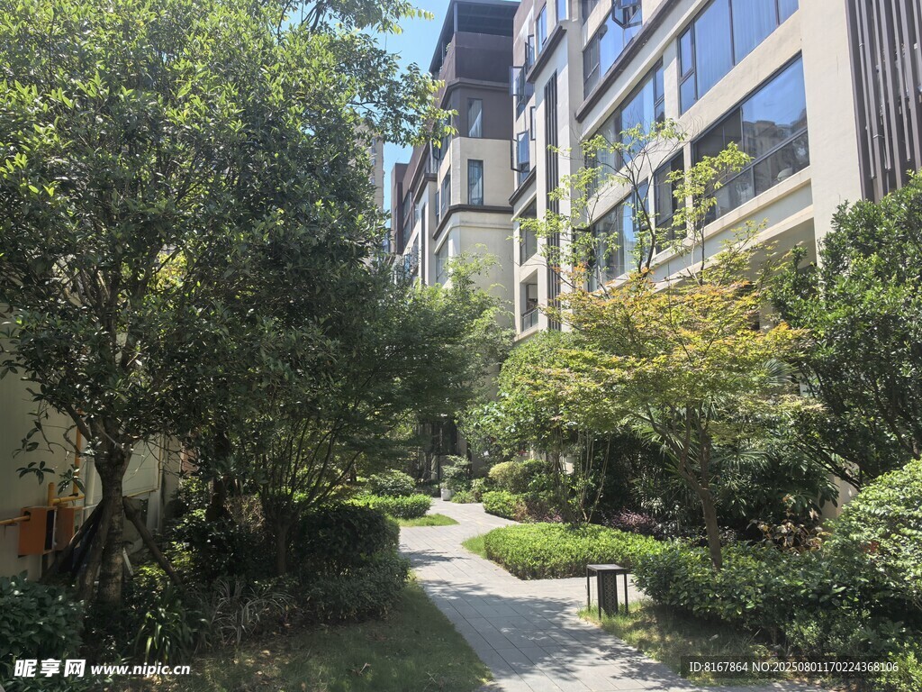 城市中的静谧绿植小径