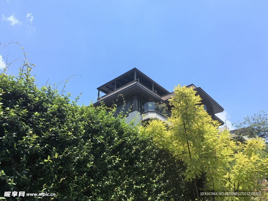 绿树掩映中的别致建筑