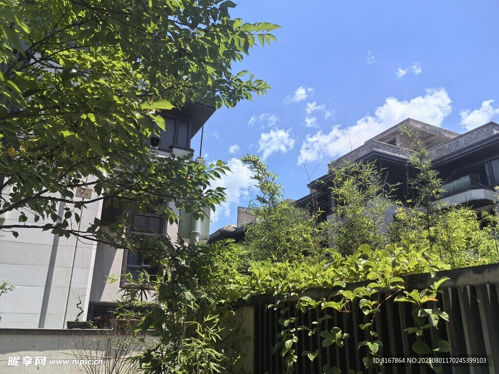 庭院绿植环绕的雅致建筑