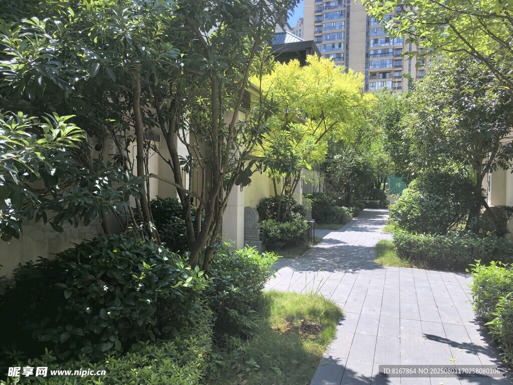 小区内幽静的绿植小径