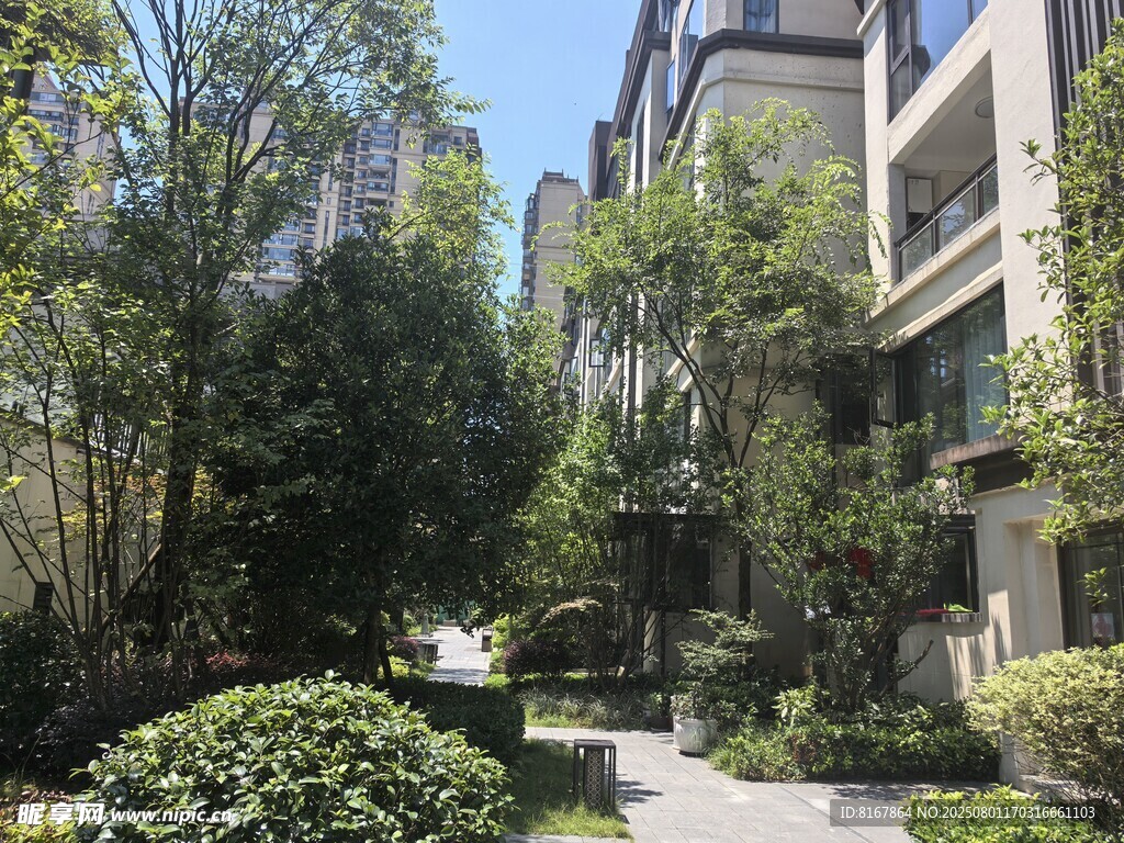 小区内的静谧绿植景观