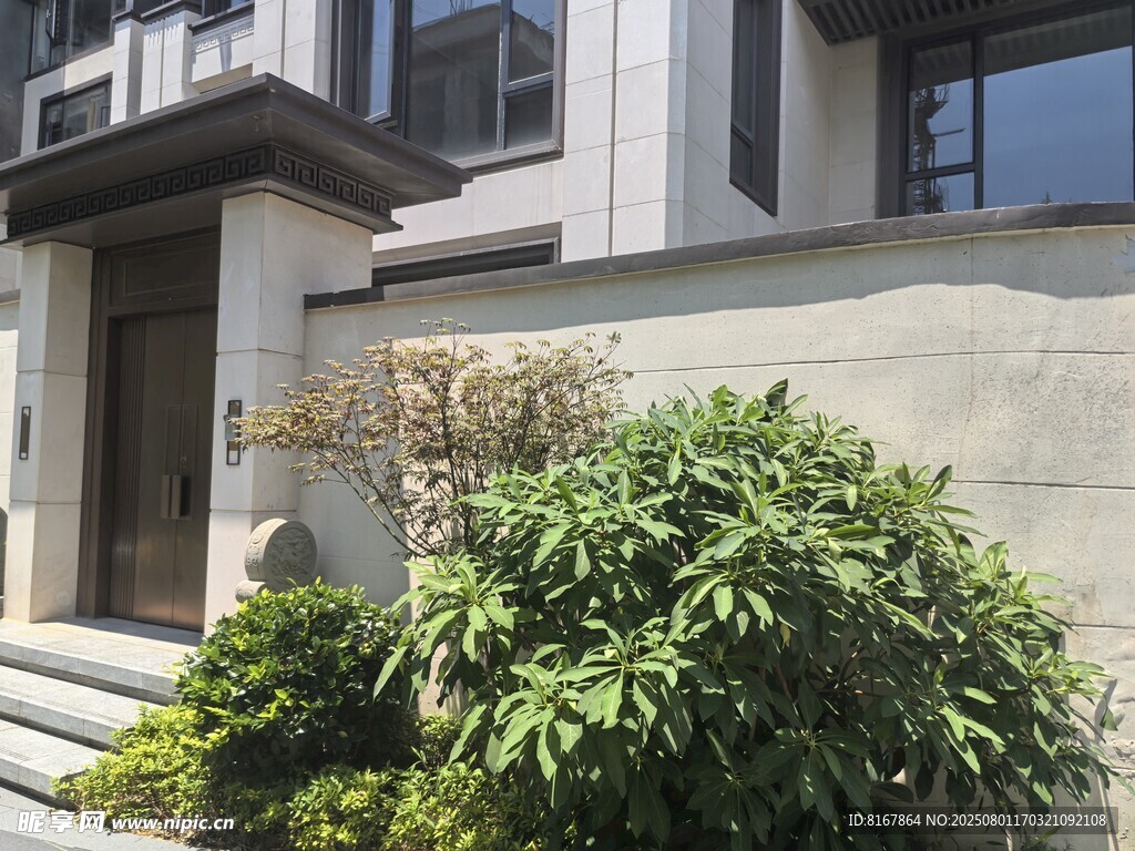 现代住宅旁的绿植景观