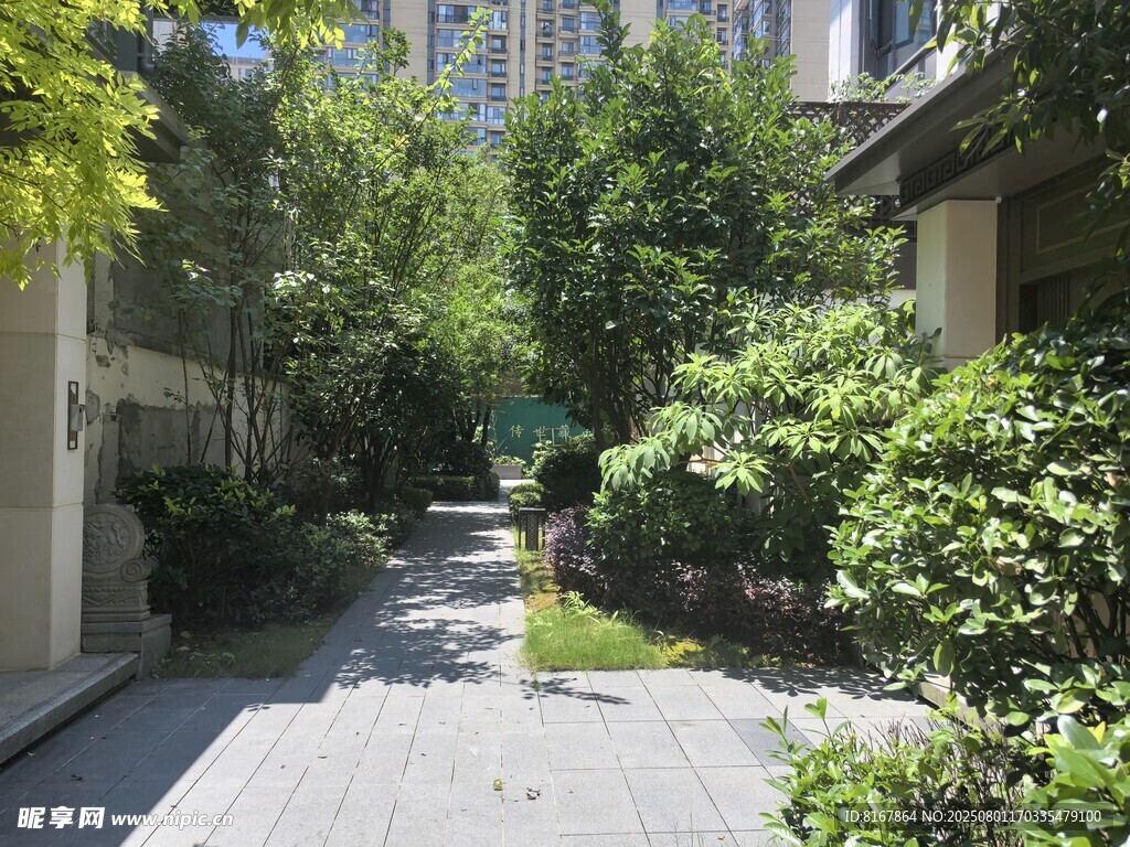 幽静小区绿植环绕小道