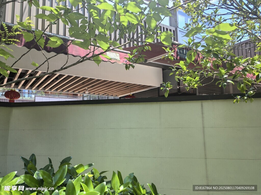 阳台绿植景观一角