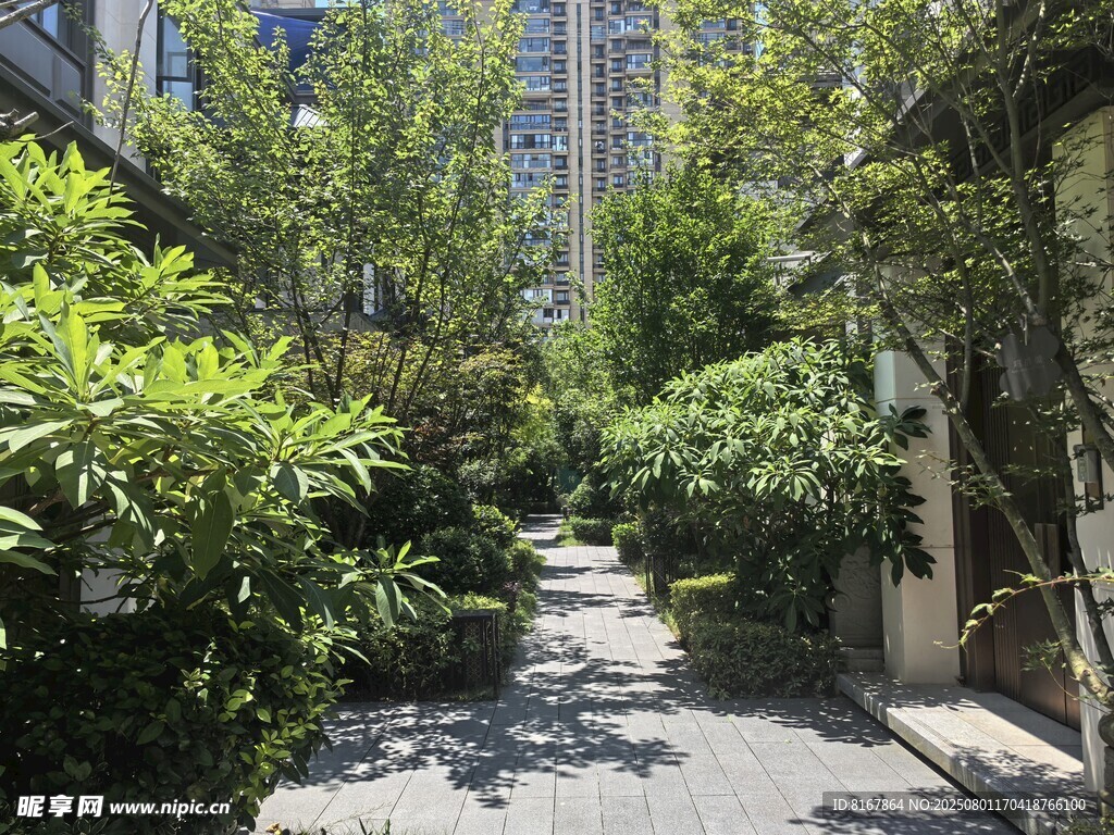小区内幽静的绿植小道