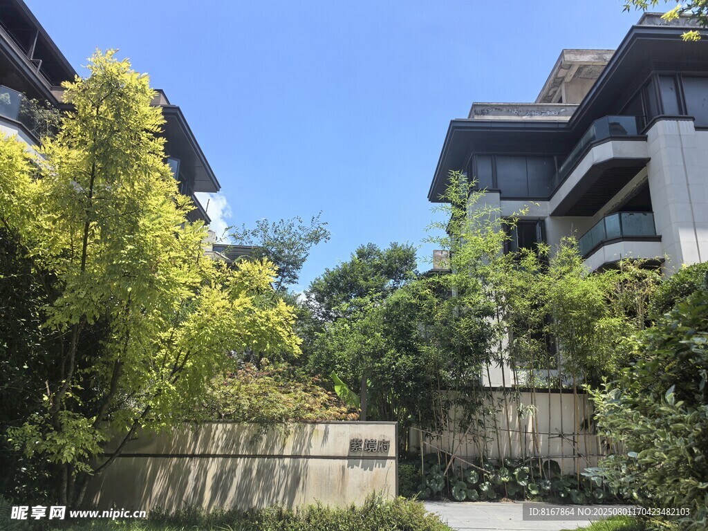 现代住宅旁的绿植景观