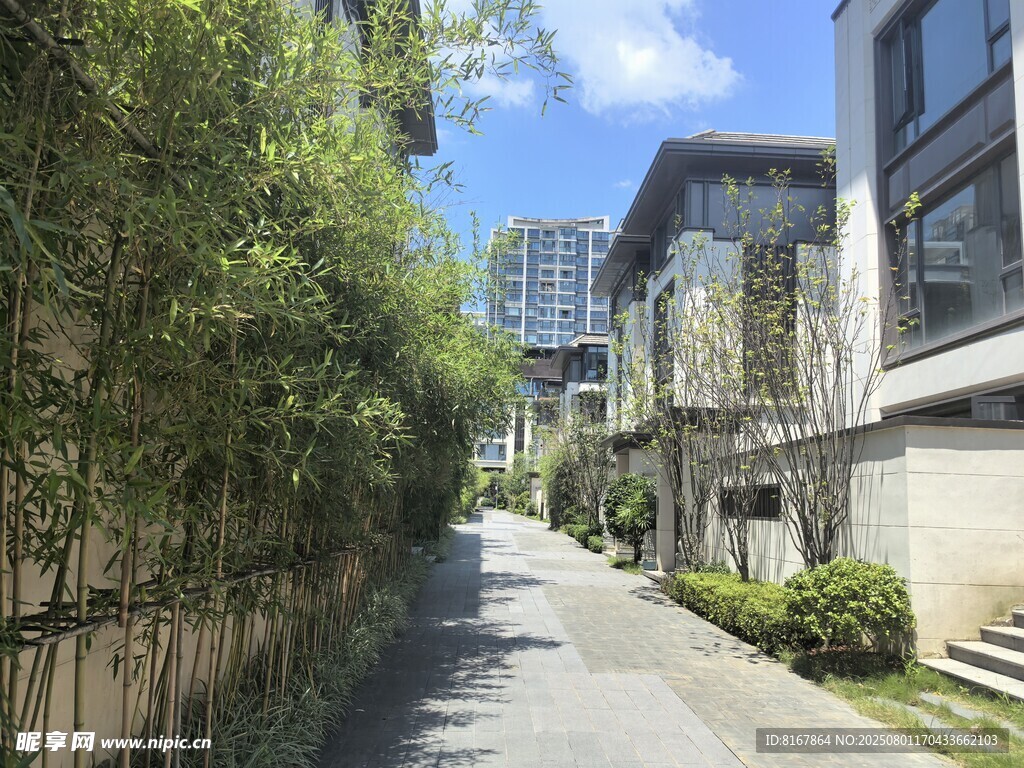 幽静小巷旁的现代建筑