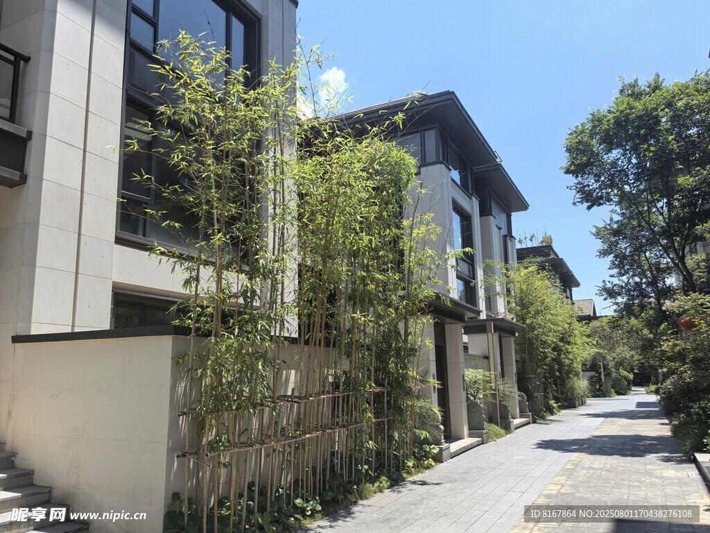 现代风格住宅旁的幽静小路