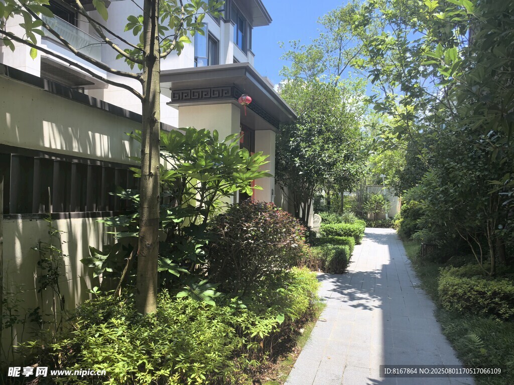 幽静小区林荫小道景观