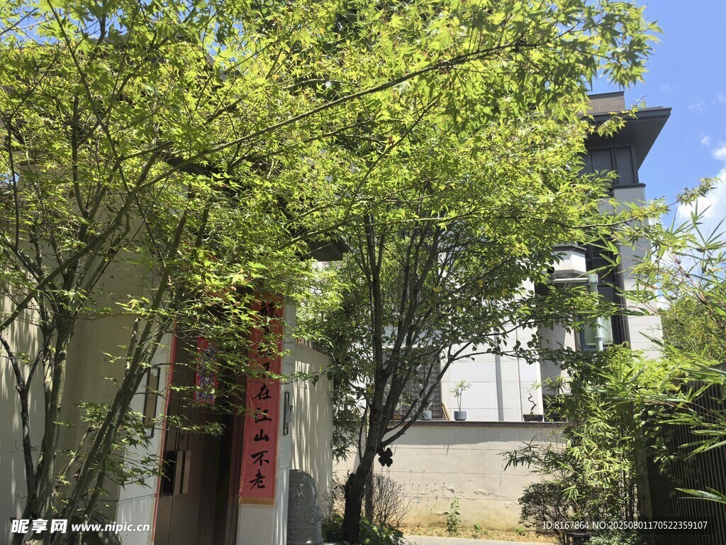 中式庭院绿意环绕景致