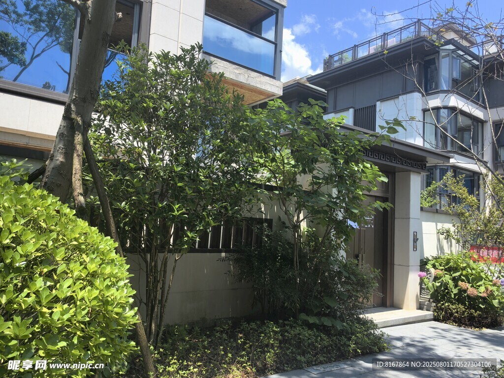 现代雅致住宅周边绿植景观