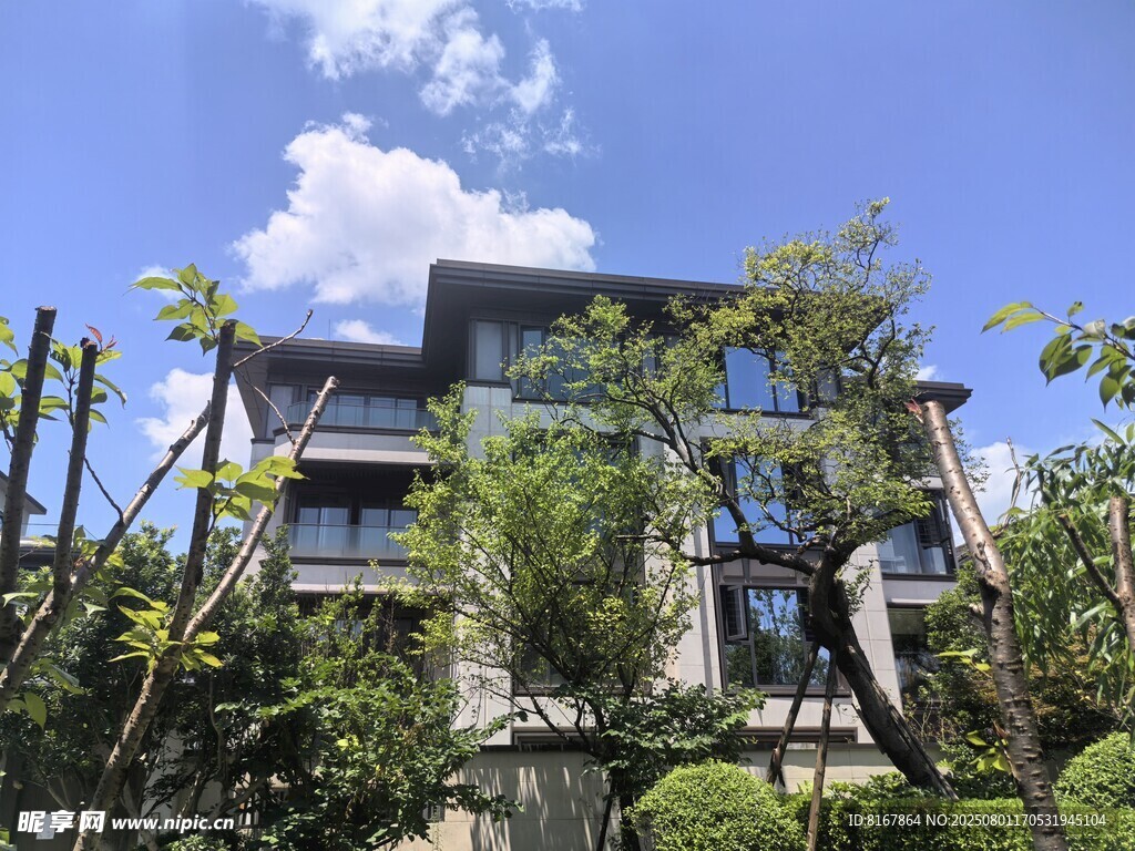 现代别墅掩映于绿植间