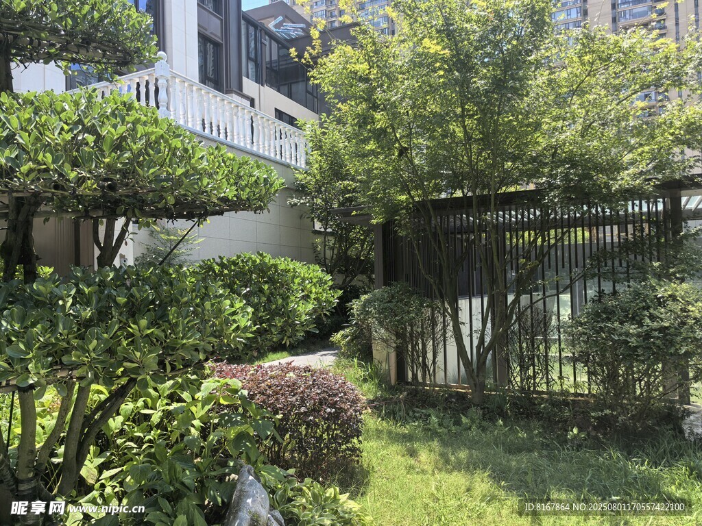 庭院绿植景观一角