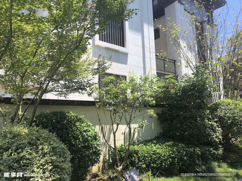 现代住宅旁的绿植景观