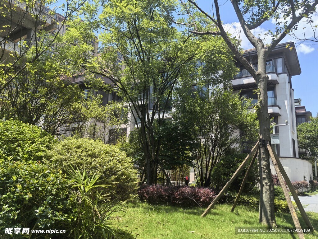 庭院绿植景观一角